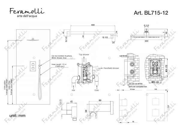Черный душевой комплект с термостатом Feramolli BL715-12 (30см.), черный