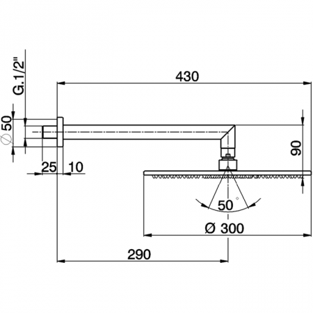 Верхний душ D300 мм с настенным держателем L290 мм CISAL Shower DS01348021