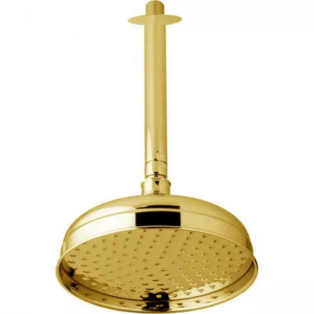 Верхний душ D207 мм Easy Clean с потолочным держателем L305 мм CISAL Shower DS01341124