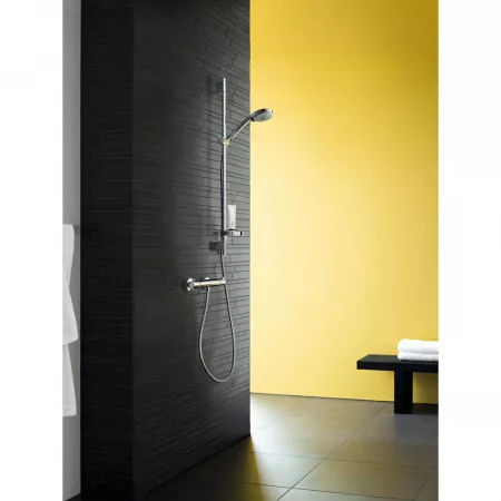 Ручной душ hansgrohe Croma 100 Vario 28535000