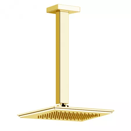 Gessi Eleganza Верхний душ потолочный, 46150#093