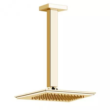 Gessi Eleganza Верхний душ потолочный, 46150#087