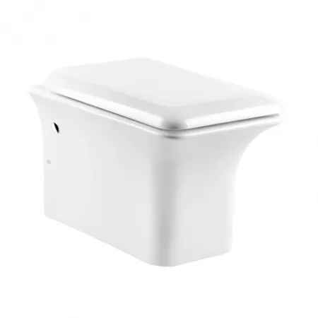 Gessi iSpa Унитаз подвесной в комплекте с сиденьем Soft Close и сифоном, 42113#518