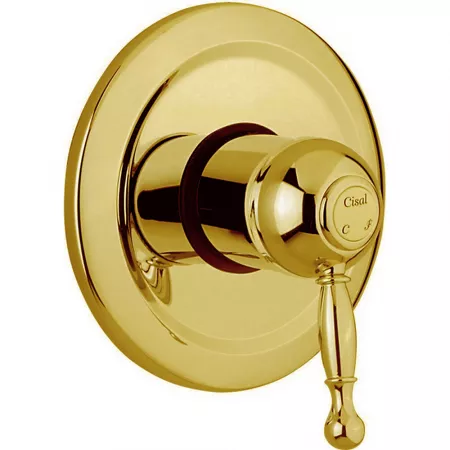Встраиваемый однорычажный смеситель для душа CISAL Arcana Royal AY00300024